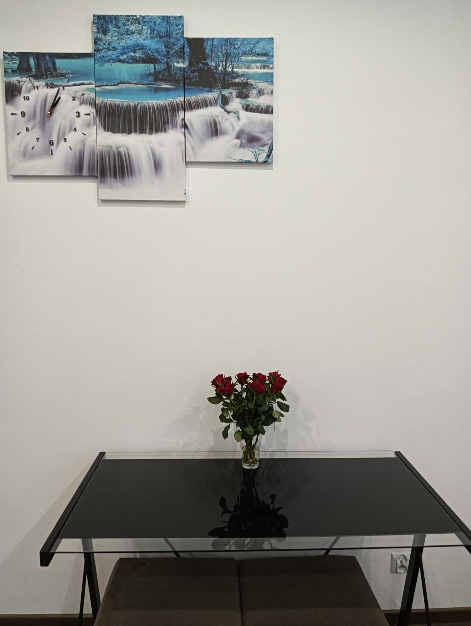 Apartament B&B Сталёва-Воля Экстерьер фото